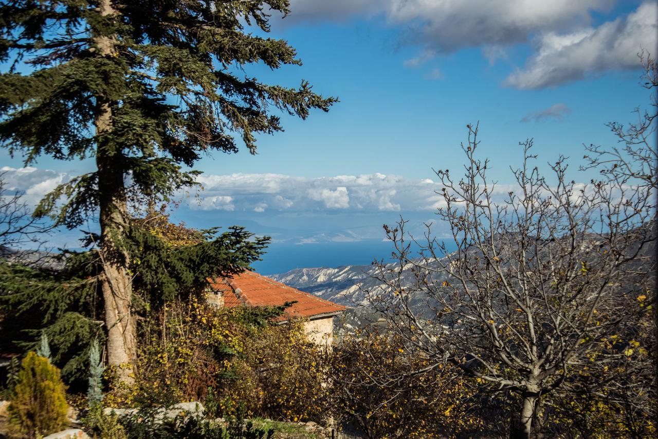 Anotopos Ano Trikala Eksteriør bilde